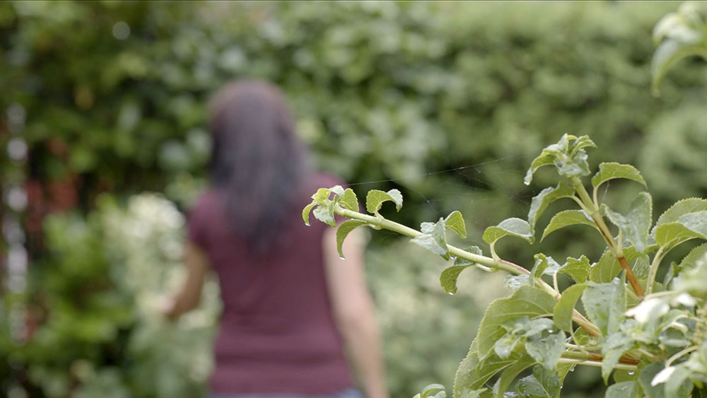 Frau in einem Garten mit dem Rücken zur Kamera
