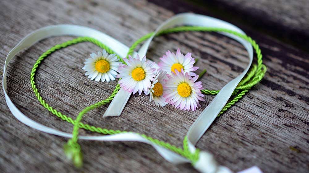 Image - Kirche verschenkt Blumensamen an Erstklässler
