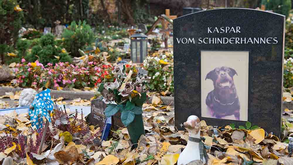 Image - Theologe: Tierbestattung kann neue Kasualie werden