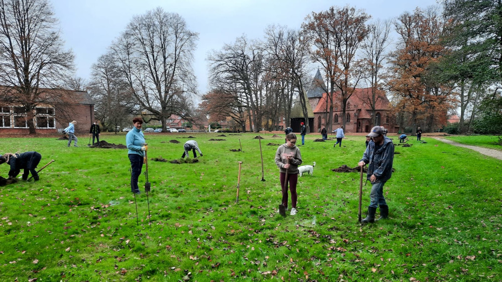 Image - Eine Streuobstwiese zum Verweilen