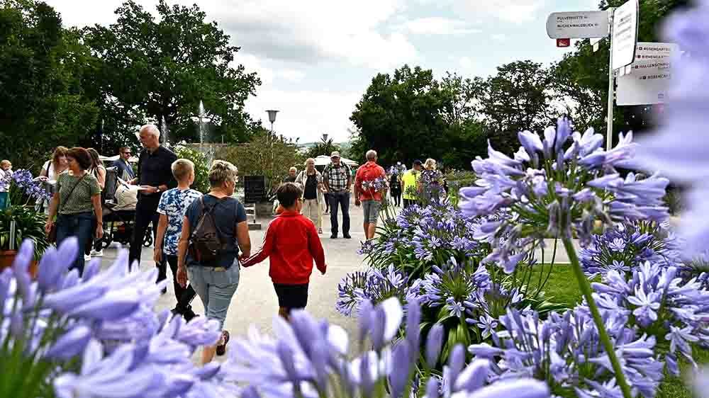 So blühte es im Juli 2021 auf der Bundesgartenschau in Erfurt