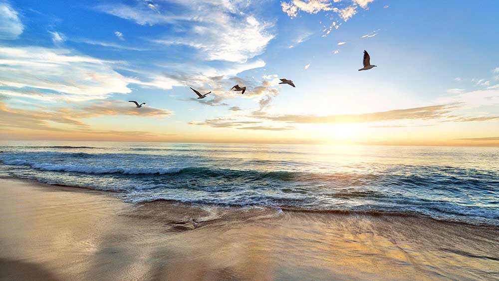 Image - Kein verlorenes Leben