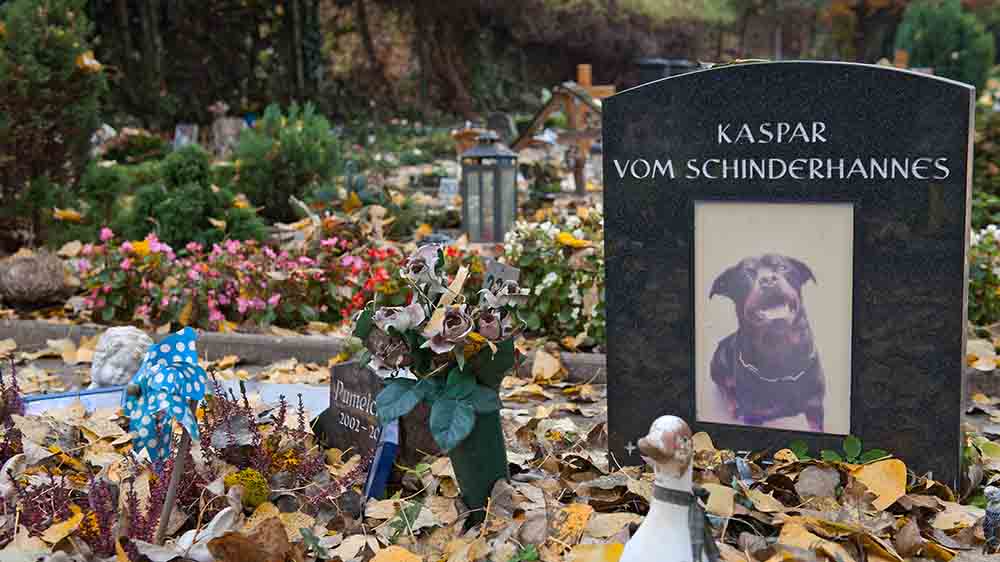 Image - Nordkirche erarbeitet Empfehlungen zur Mensch-Tier-Bestattung