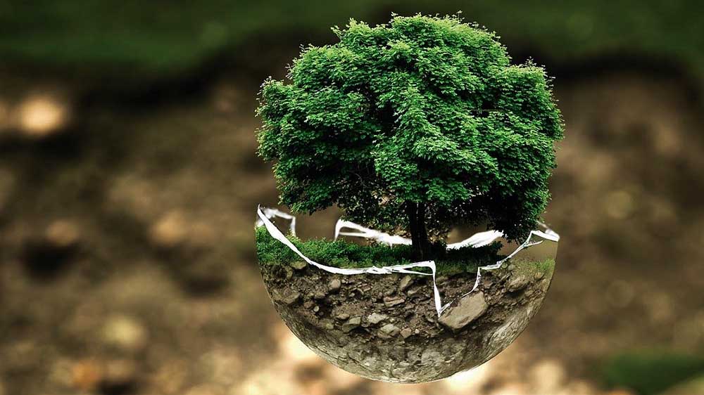 Image - Landessynode der Nordkirche berät Klimaschutz