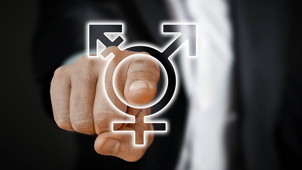 Image - Nordkirche will alle Geschlechter berücksichtigen