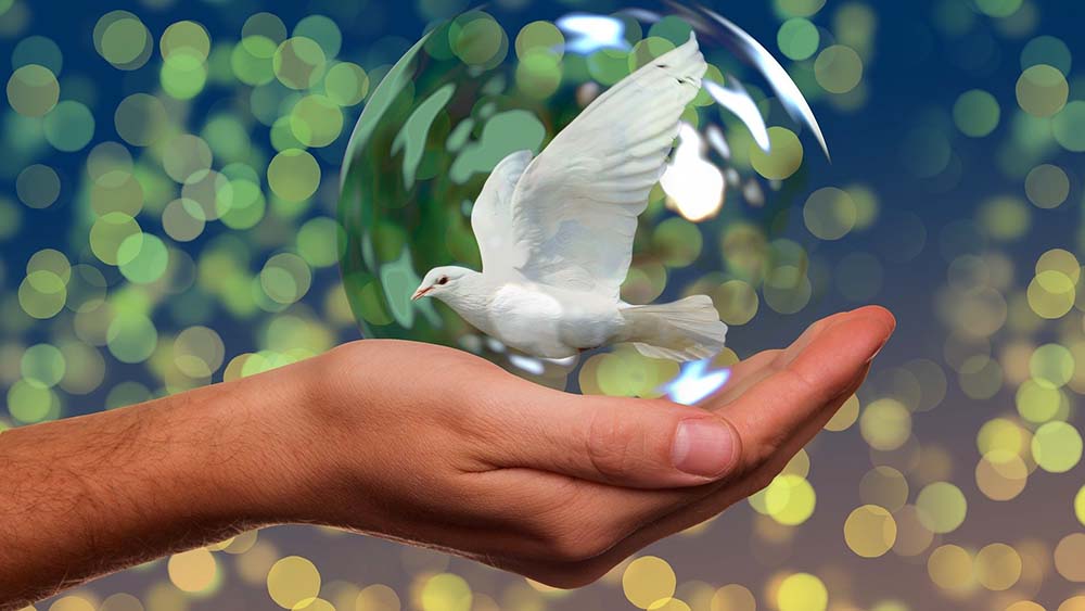 Image - Landessynode beschließt Friedenserklärung