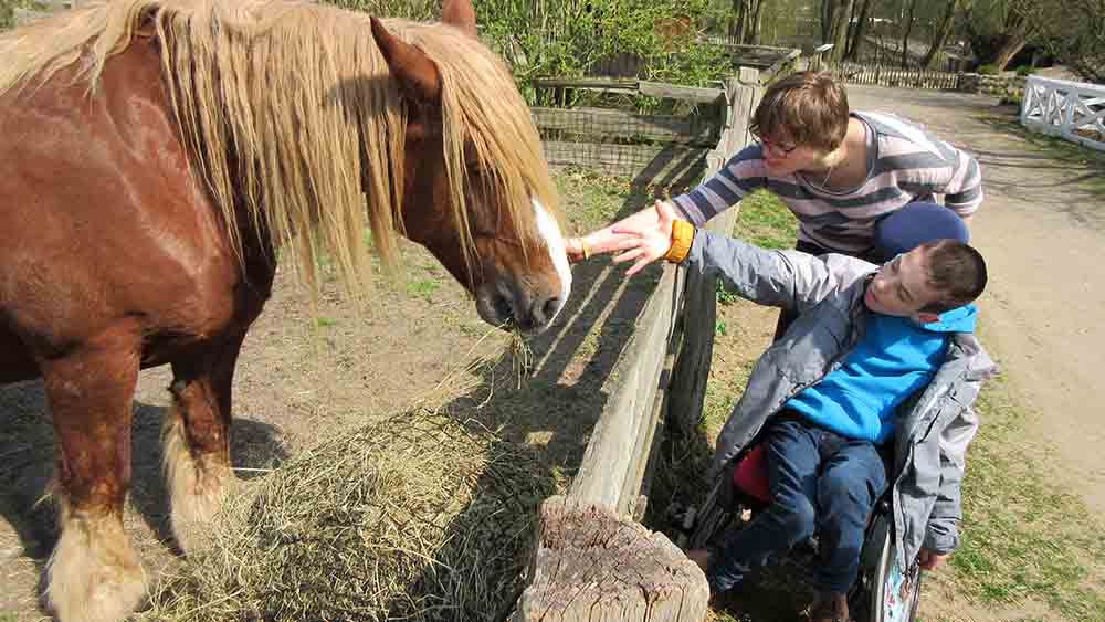 Ausflüge gehören zum Programm der Behindertenhilfe dazu