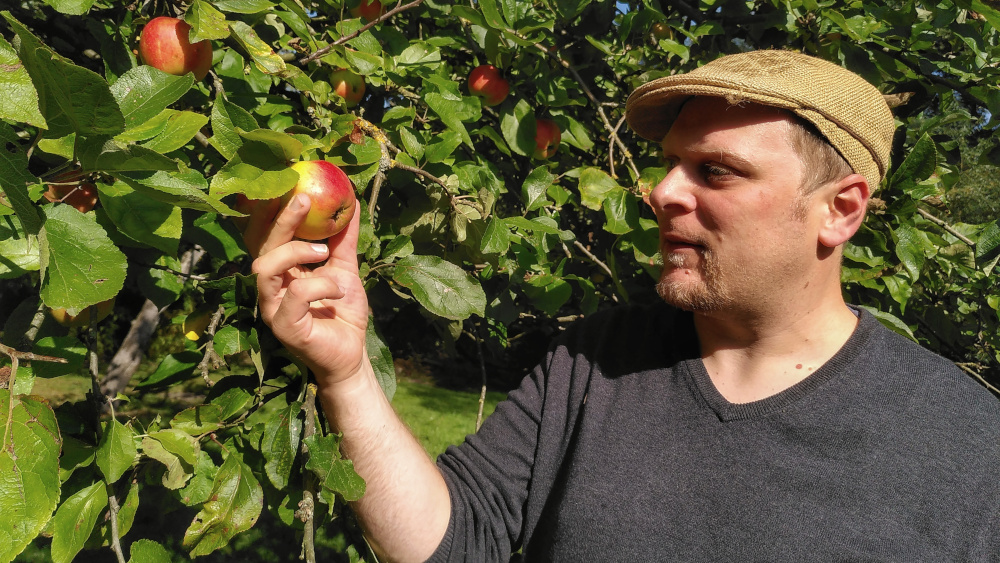Pastor Nils Wolffson mustert nicht nur Äpfel, sondern auch die Finanzen.