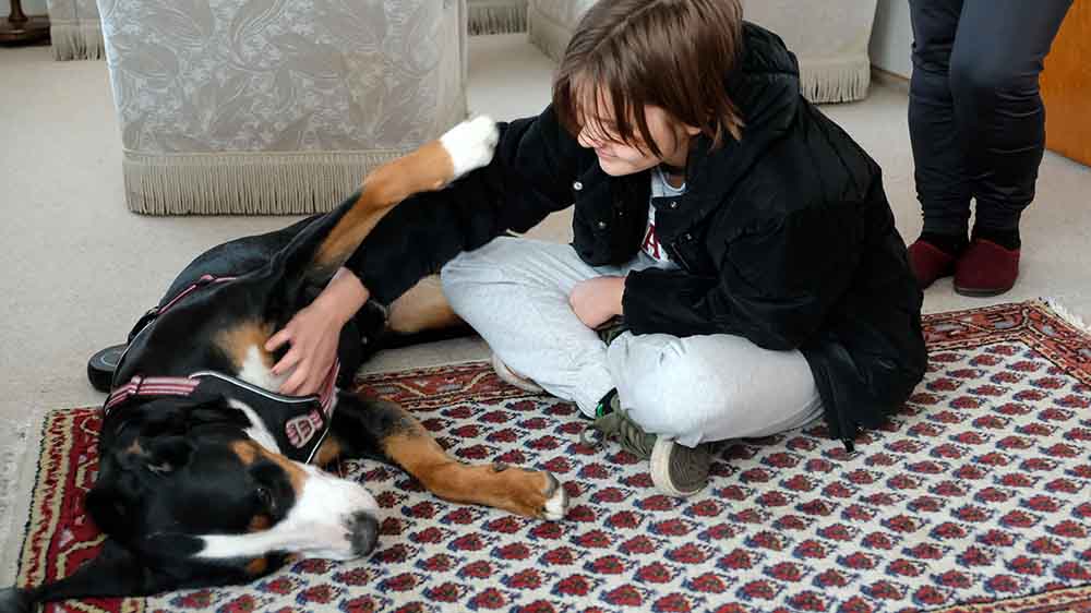 Echte Freunde: Zlata (13) streichelt den Hunde "Tante Hedwig"