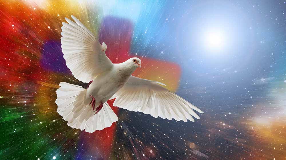 Image - Landessynode diskutiert über Wege zum Frieden