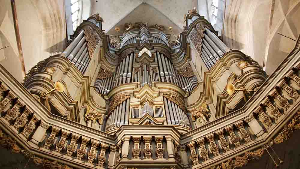 Ein Prachtexemplar: die Orgel in St. Jacobi Stralsund