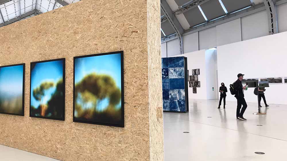 Und los geht's! Die Ausstellungen sind ab Freitag, 20. Mai, geöffnet