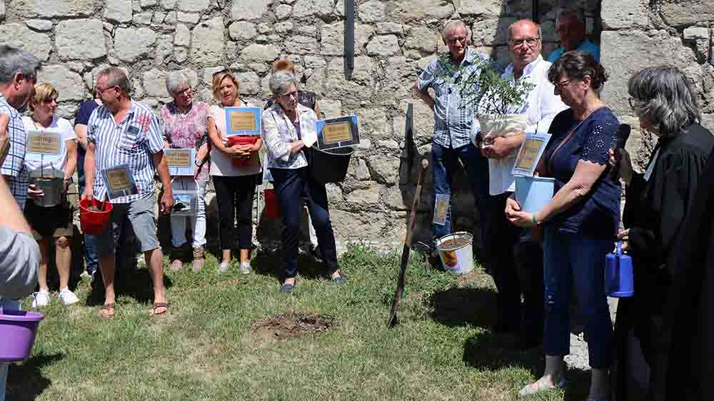 Vertreter aus allen 13 Dörfern der Zwölf-Apostel-Kirchengemeinde pflanzen einen jungen Rosensetzling