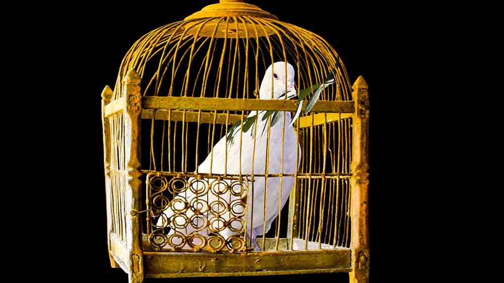 Der Frieden hat es momentan schwer