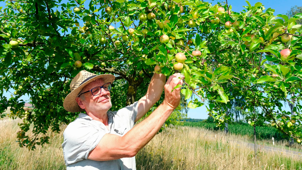 Dieter Buchhorn auf einer Apfelbaumwiese bei Neetze, Landkreis Lüneburg.