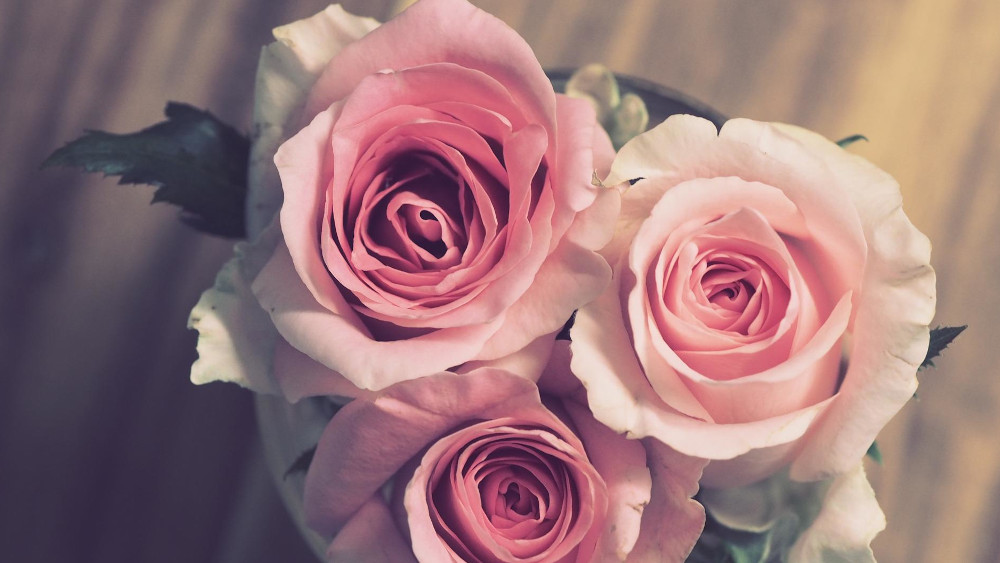 Am Sonntag feiert das Annastift Jubiläum. (Symbolbild)