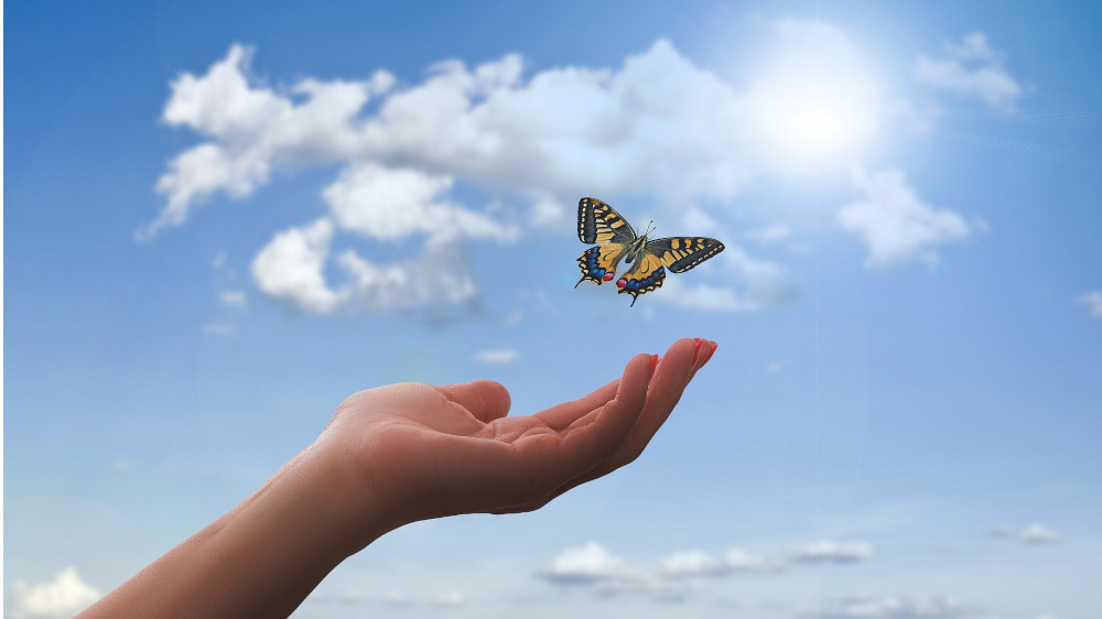 Image - Gesetzestreue