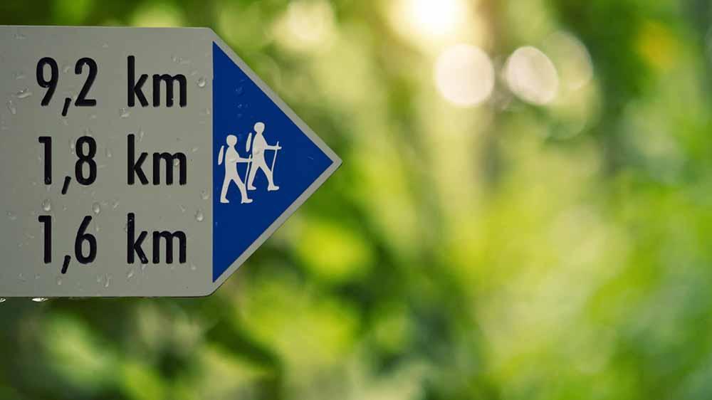 Da geht's lang! In Osnabrück wird gewandert