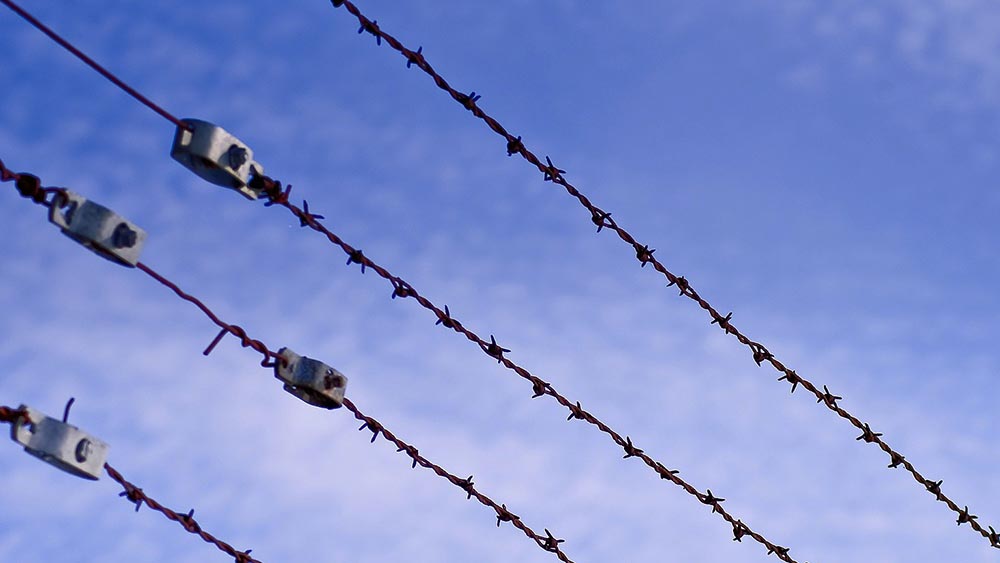 Image - Lübecker Veranstaltungsreihe erinnert an NS-Opfer