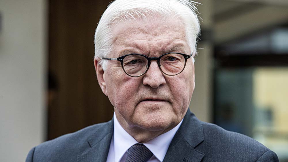 Bundespräsident Frank-Walter Steinmeier (Archiv)