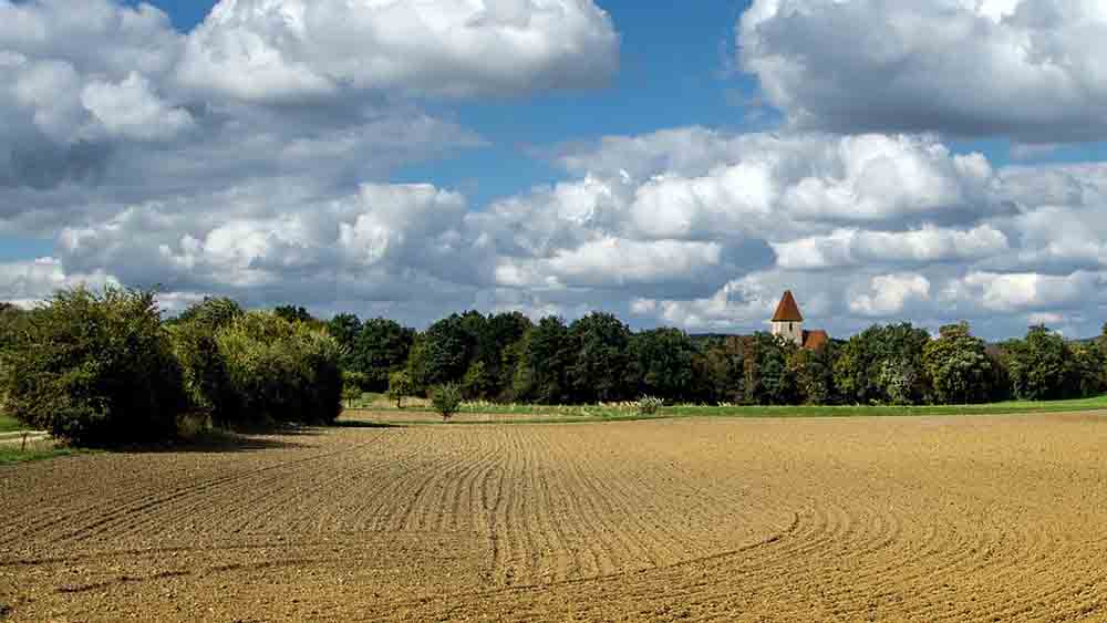 Vorbei an Wiesen führt der Pilgerweg