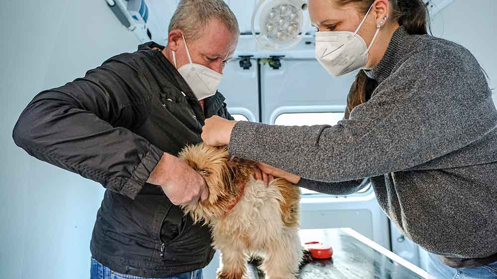 Tierärztin Astrid Galka behandelt kostenlos die Hunde von wohnungslosen und einkommensschwachen Menschen