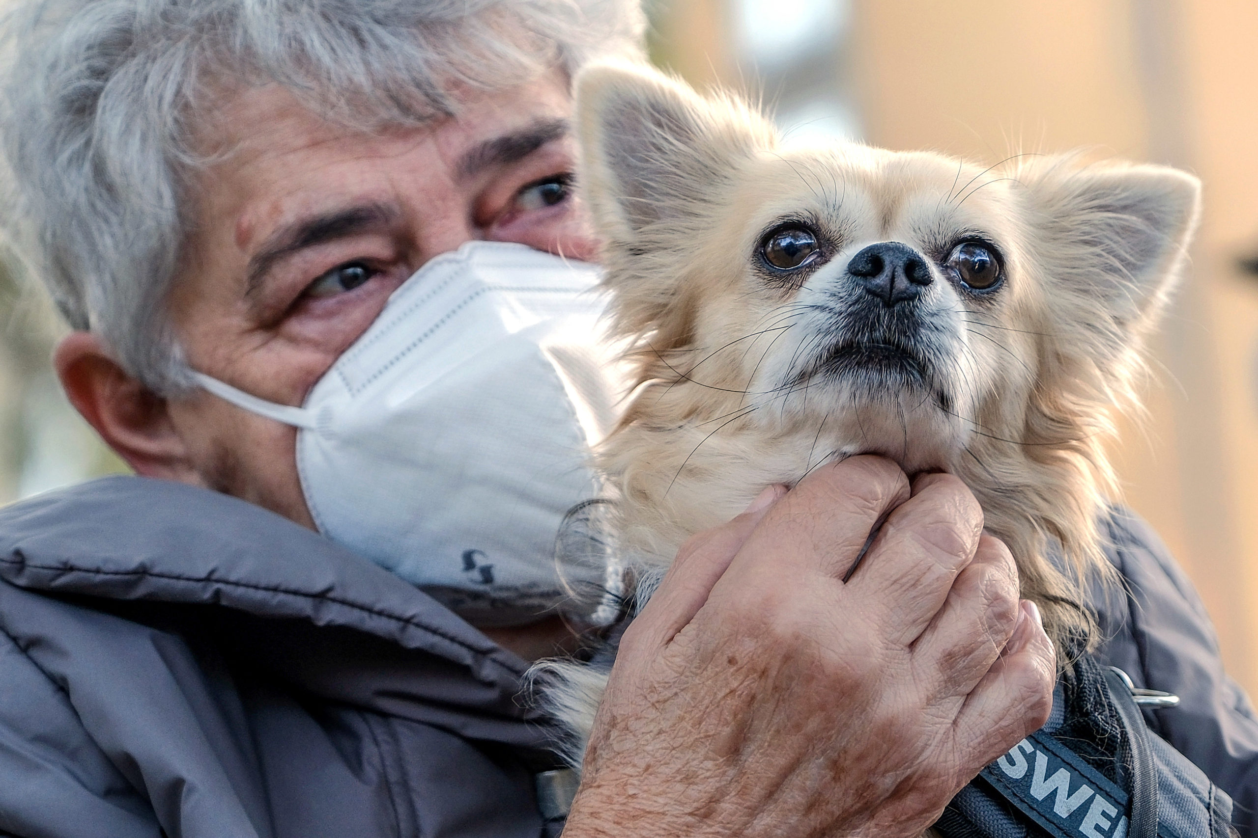 Image - “Der Hund ist mein Leben”