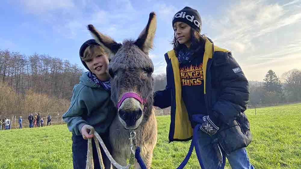 Image - Von wegen dummer Esel!