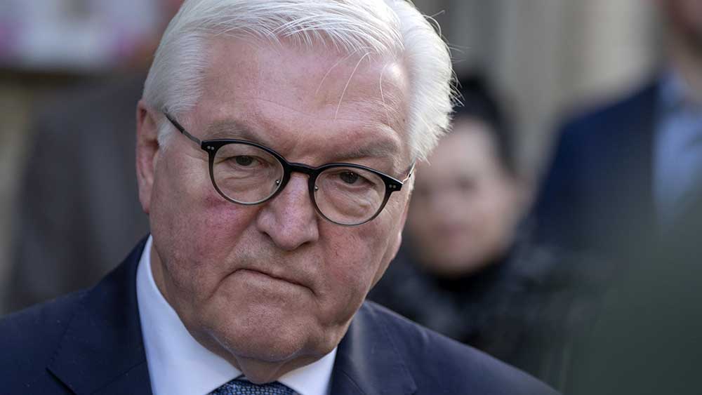 Bundespräsident Frank-Walter Steinmeier