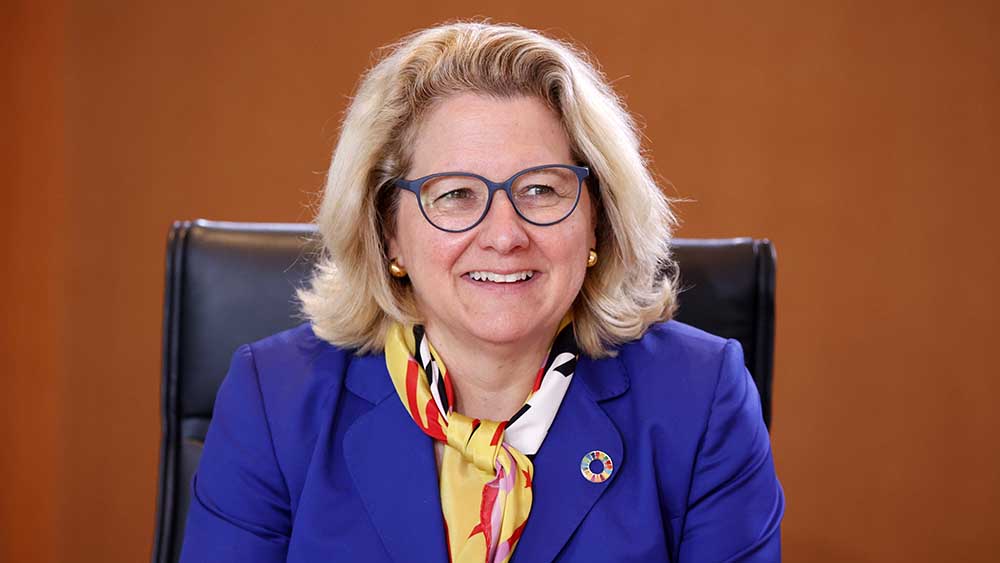 Image - Schulze: Deutschland braucht Partnerschaften in der ganzen Welt