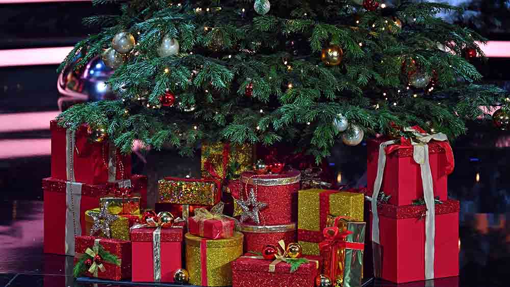Image - Die Hälfte der Deutschen will keinen Weihnachtsbaum kaufen