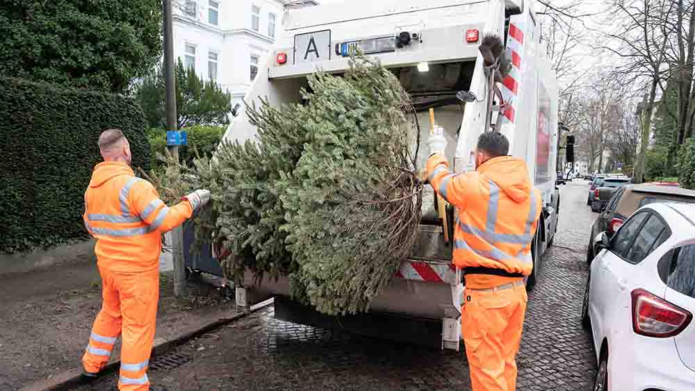 Und weg damit: In ganz Deutschland werden die Weihnachtsbäume entsorgt, wie hier 2019 in Hamburg