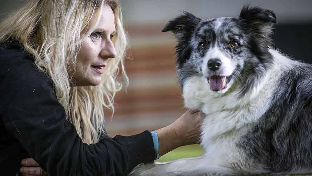 Eine kleine Pause tut Frauchen und Hund gut