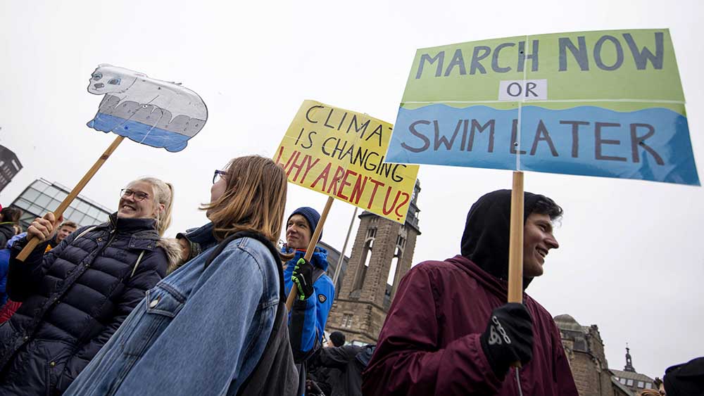 Weltweit ruft Fridays for Future immer wieder zum Demonstrationen auf, wie hier in Hamburg (Archivbild)