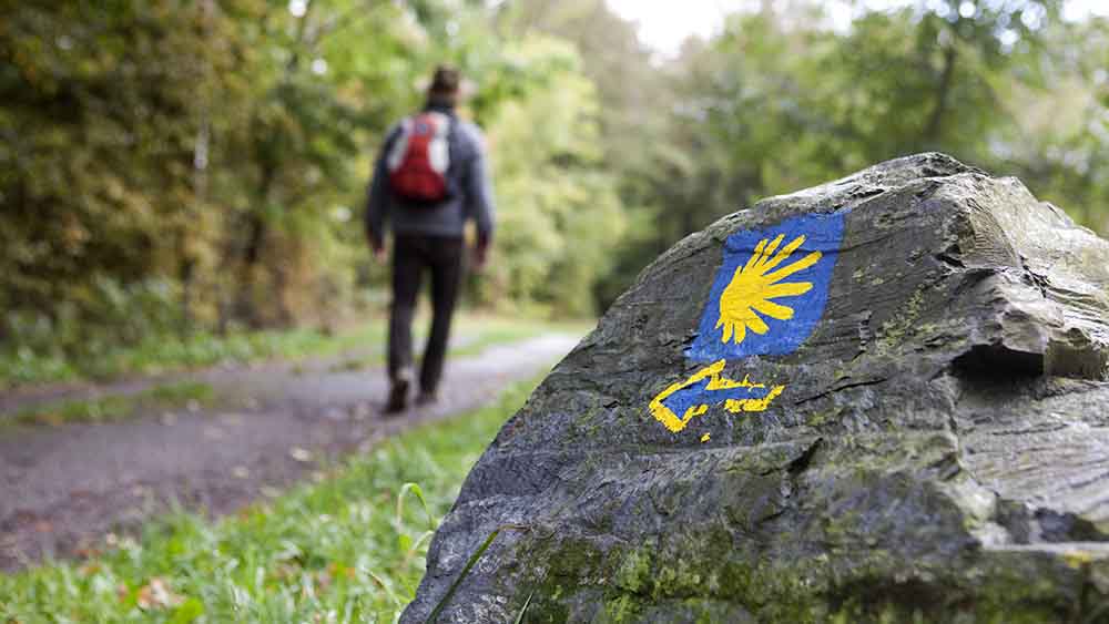 Der Jakobsweg ist 2022 sehr gefragt gewesen (Symbolbild)