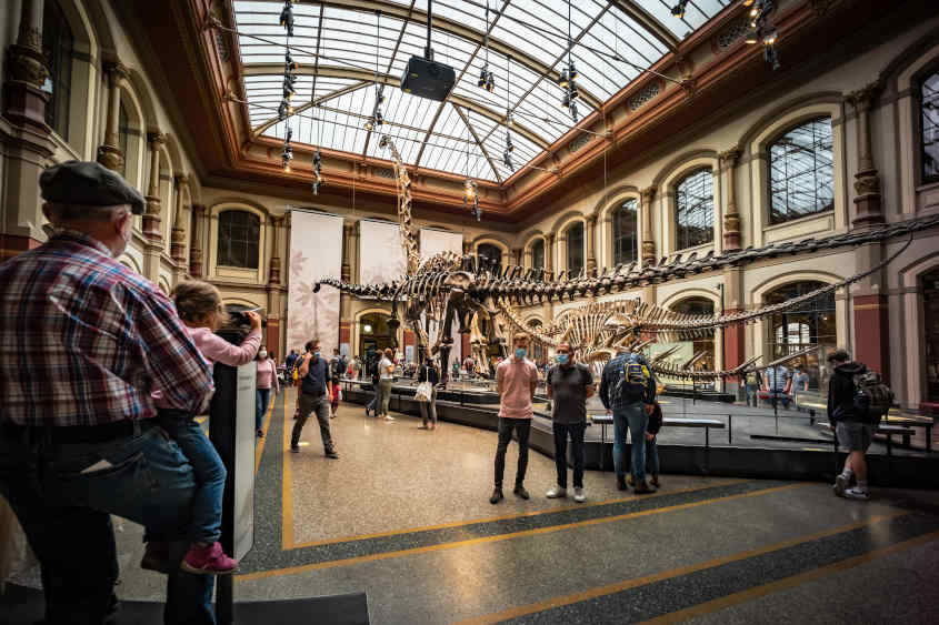 Museum für Naturkunde in Berlin