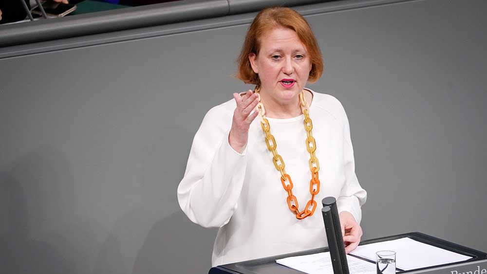 Familienministerin Lisa Paus (Grüne) hat die Kindergrundsicherung auf den Weg gebracht