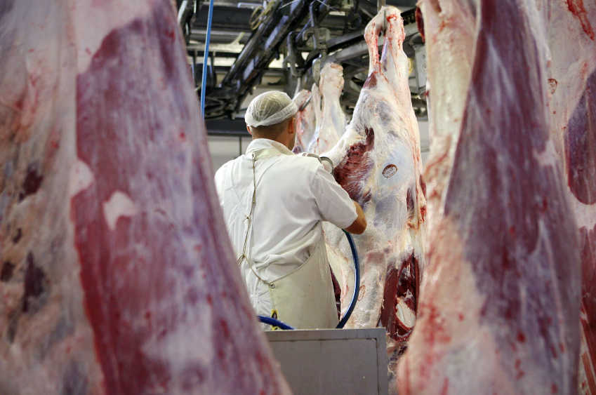 Image - Fleischkonsum und Tierzahlen gehen dauerhaft zurück