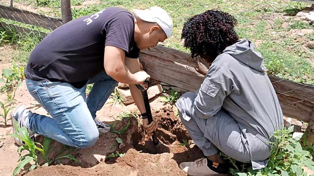 René Lagemann und Agatha Moyo bereiten die Pflanzung von Bäumen vor, die an das Klima in Simbabwe angepasst sind.