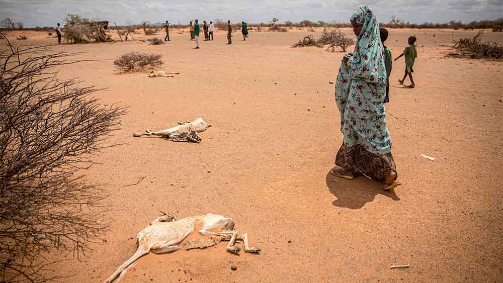 Der Klimawandel trifft arme Länder extrem: Jubaland, Somalia im April 2022 (Archivfoto)