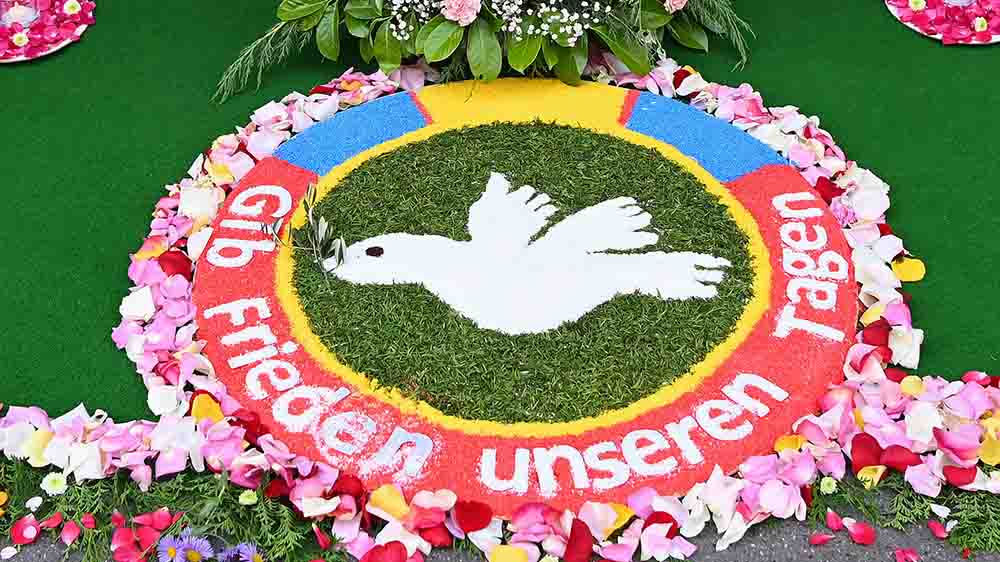 Weiße Taube auf grünem Rasen