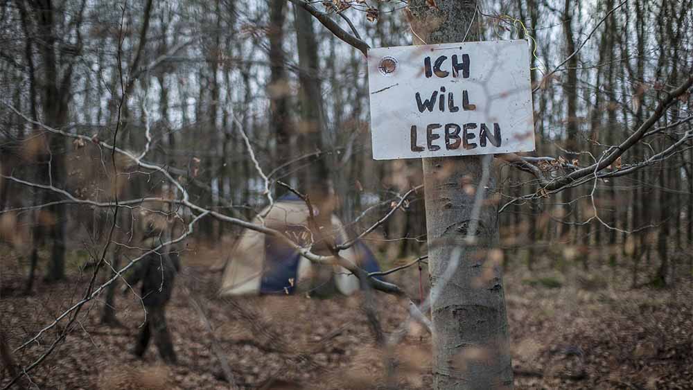 Aktivisten besetzen Waldstück bei Frankfurt (Archivbild)
