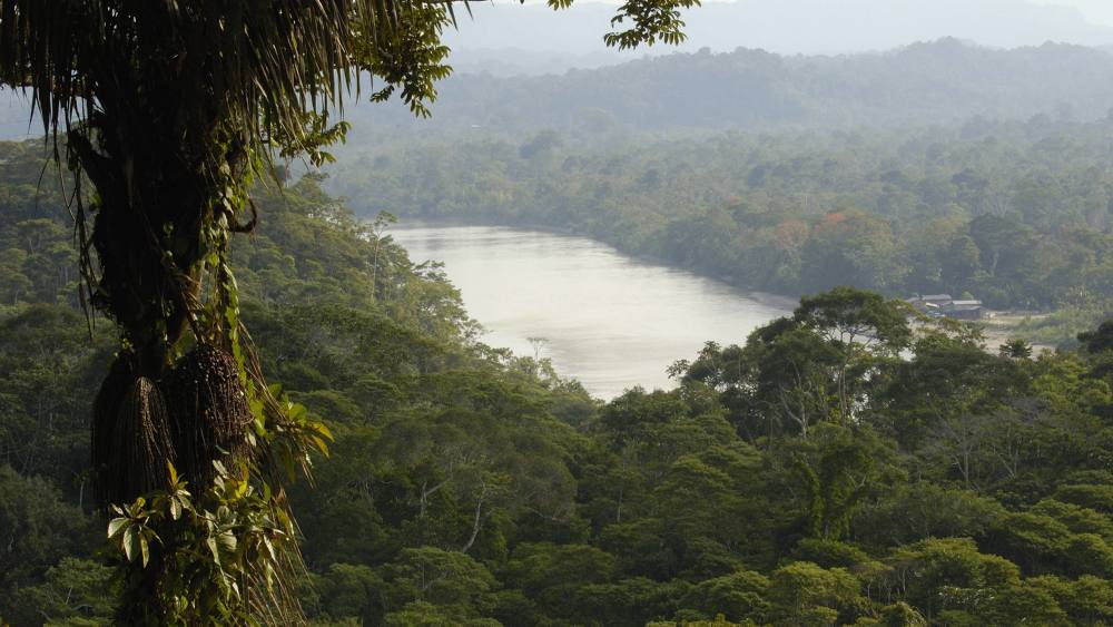 Etwa 60 Prozent des sechs Millionen Quadratkilometer großen Amazonas-Regenwaldes befinden sich in Brasilien