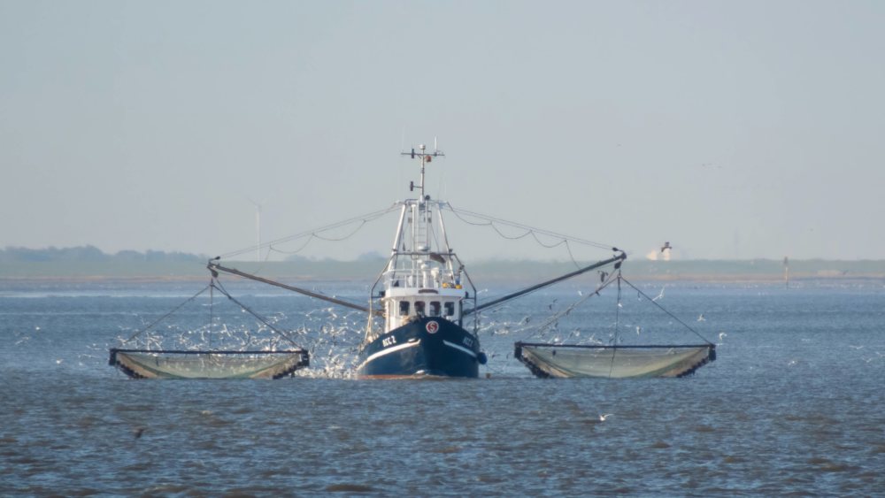 Ein Fischkutter vor der ostfriesischen Küste – seit 2015 müssen sich alle Fischer in der EU an das Anlandegebot halten