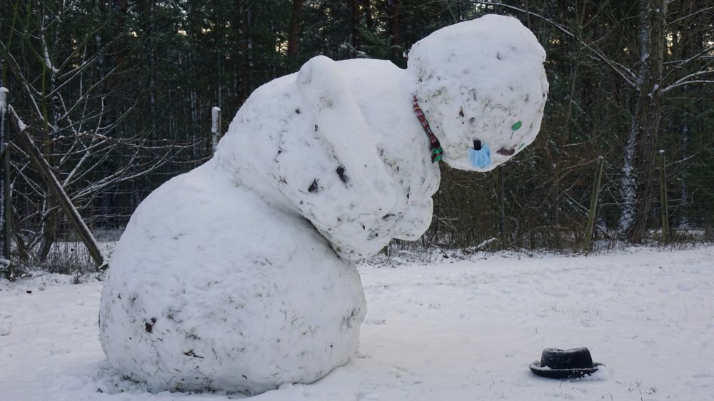 Vom Aussterben bedroht: der Schneemann