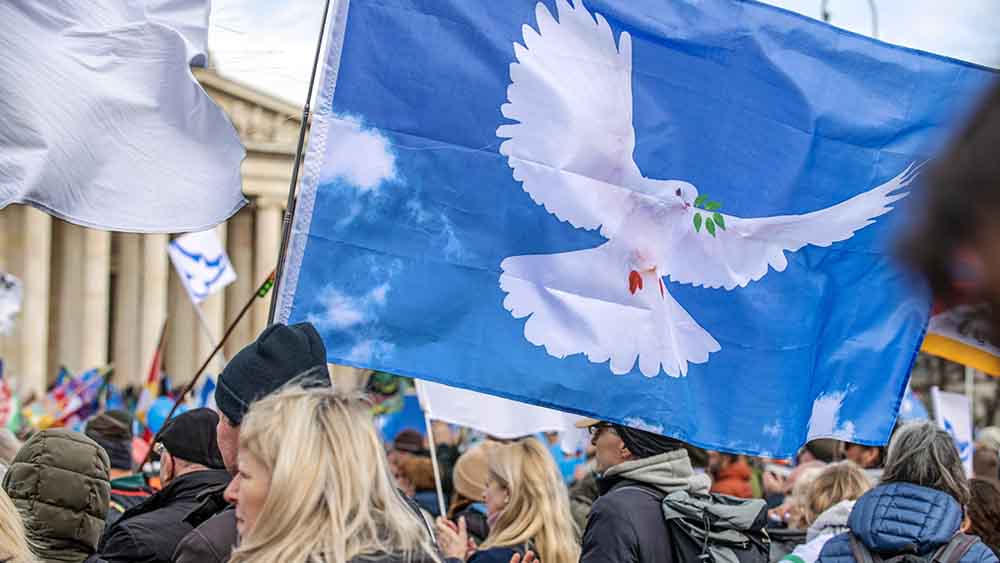 Fahne mit Friedenstaube auf Demo