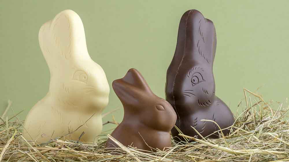 Auch in der süßen Variante ist der Osterhase willkommen