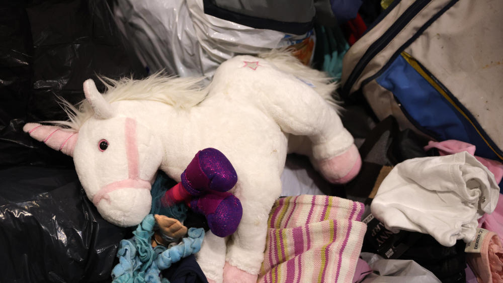 Image - Spenden für Syrien: Goslarer Apotheker organisiert Hilfe