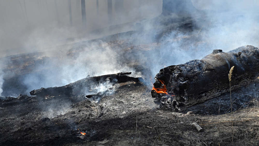 Waldbrand im Gebiet Lugansk in der Ukraine.