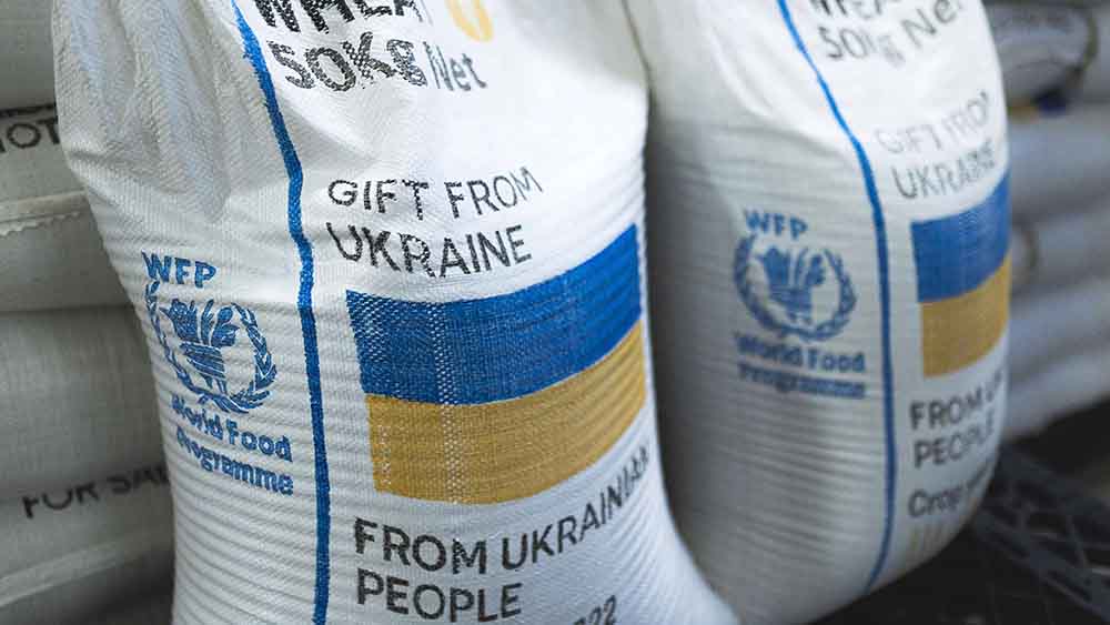 Danke des Abkommens ist Getreide aus der Ukraine auf den Weltmarkt gelangt